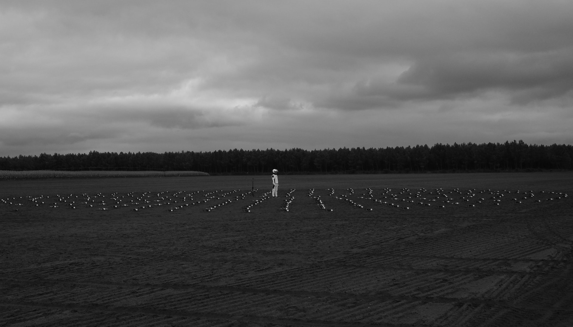 dronisos drone parrain 