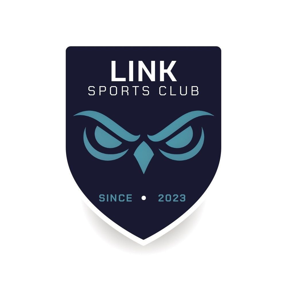 BDS LINK BORDEAUX LOGO