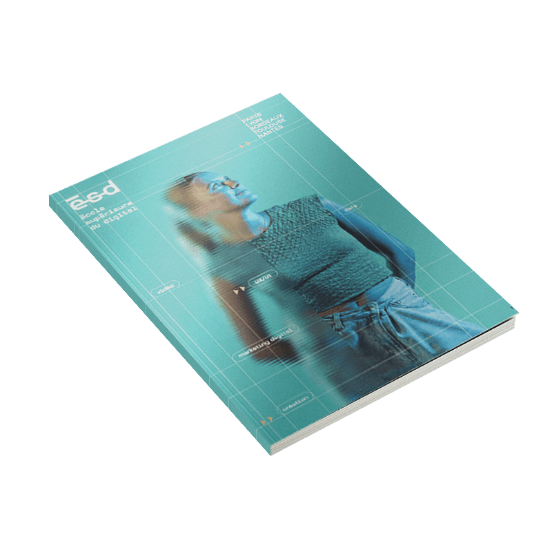 Brochure ESD perspective