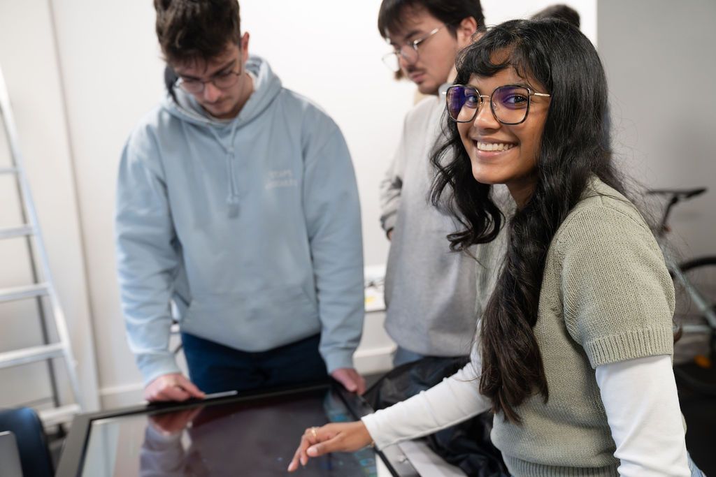 Insertion professionnelle