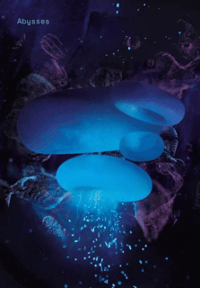 Visuel data art méduses