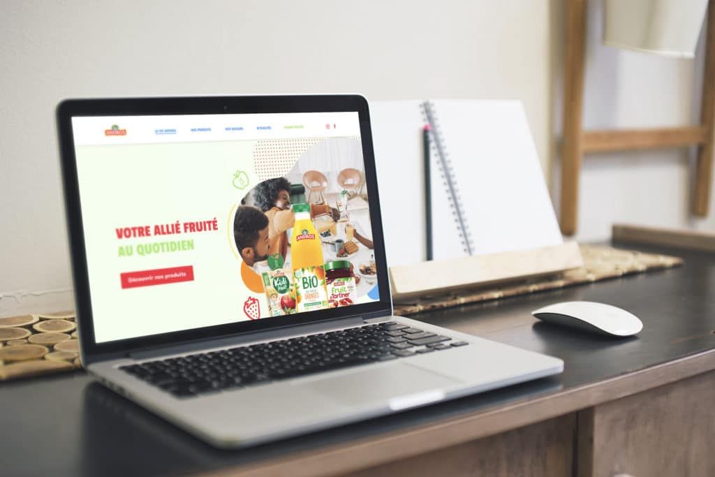 projet andros ux camp